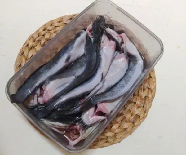 Lele Bersih Fresh Siap Masak (4 Ekor)